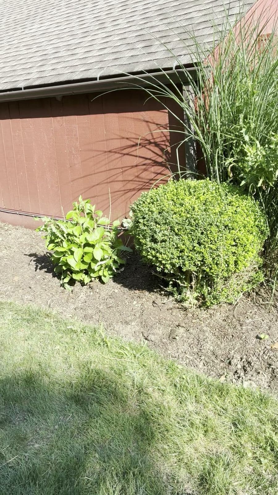 Planting bed along a red barn wall, weeded and cleared down to clean soil