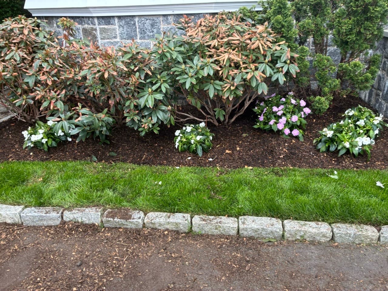 Freshly mulched front garden bed with flowering plants and clean stone edging