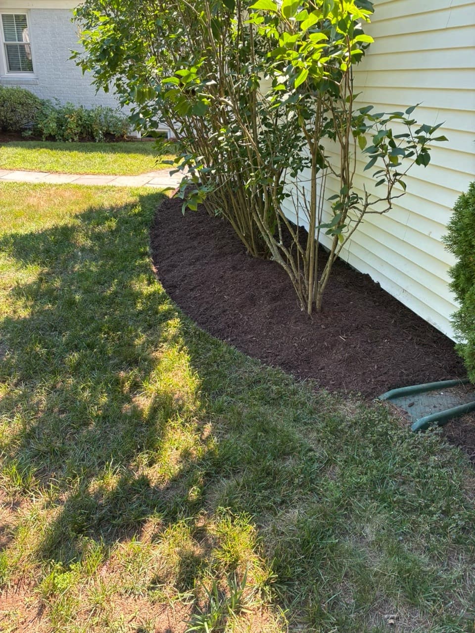 Fresh dark mulch and a smooth curved edge along foundation plantings