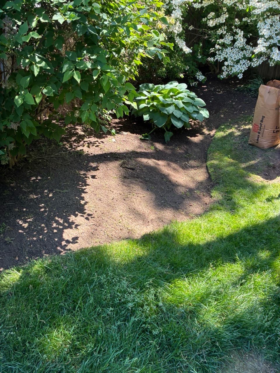 Residential shade garden cleared and prepared for fresh mulch