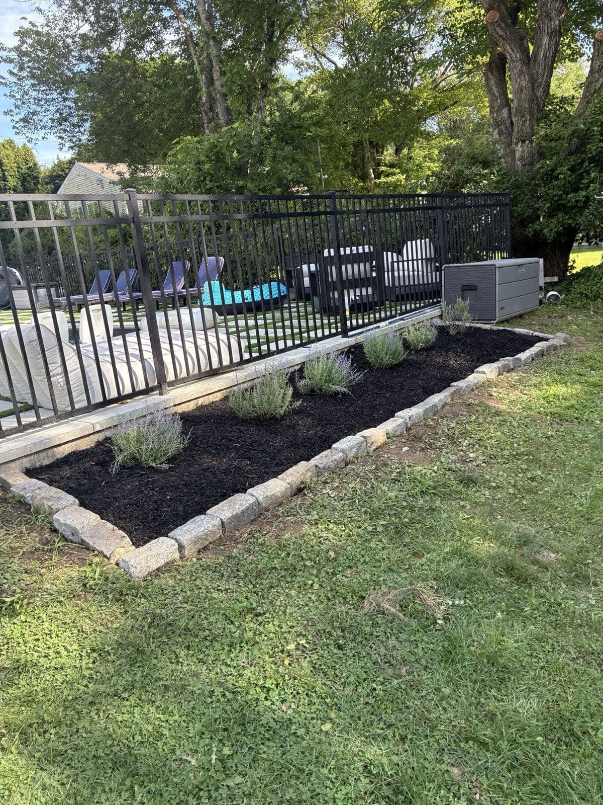 New lavender plantings in dark mulch behind a granite cobble border along a pool fence