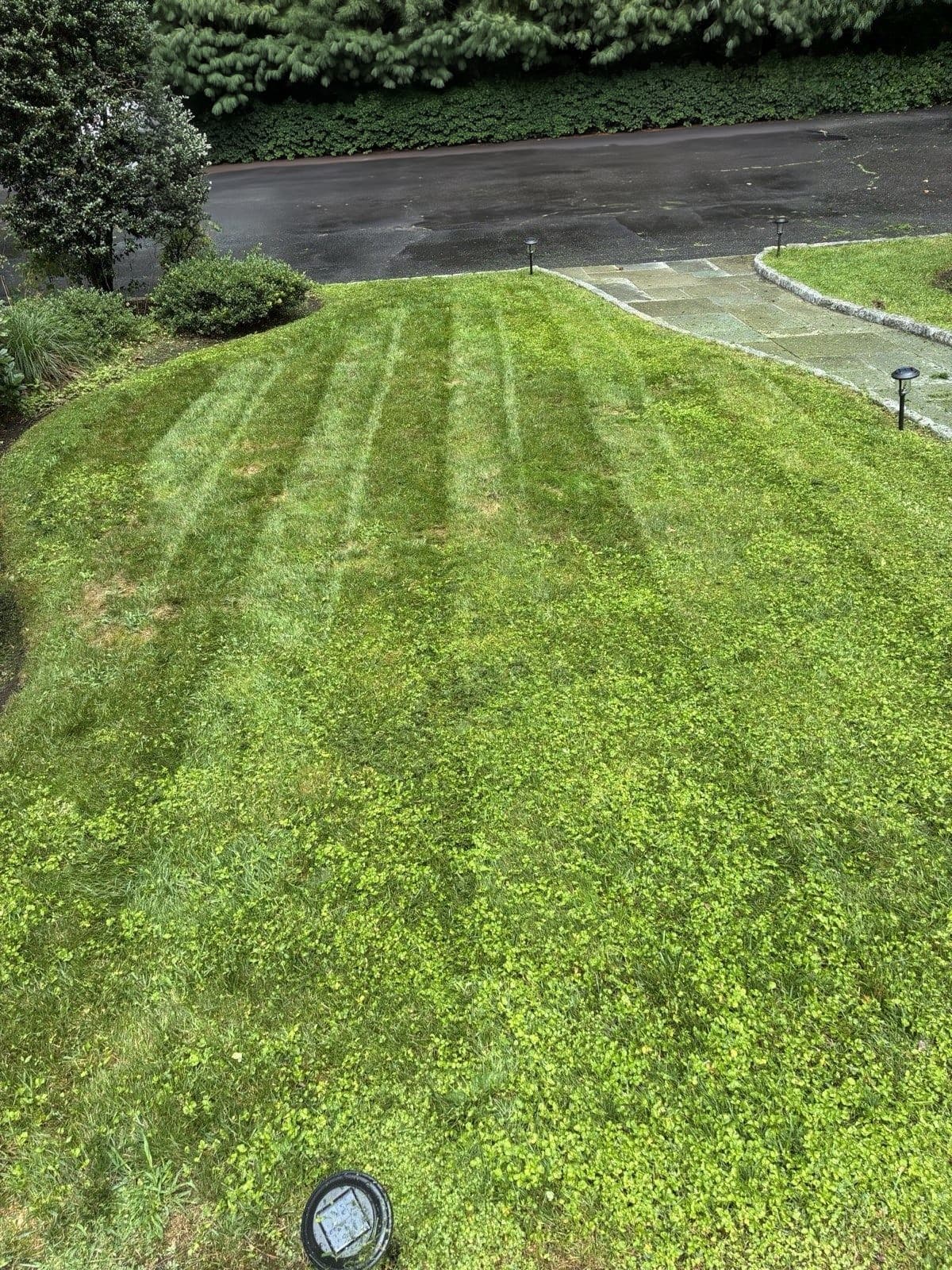 Freshly mowed front lawn with clean mowing stripes, bluestone walkway and granite curb beyond