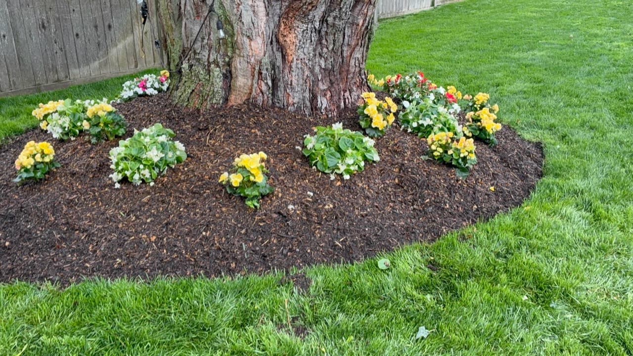 Curved mulch bed around a mature tree with colorful seasonal flowers
